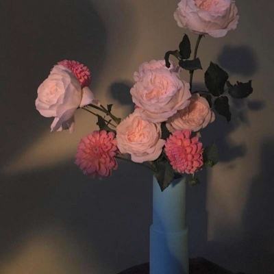 太阳城电子游戏安装正版最新版v1.8.9.9截图0